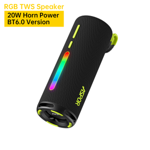 20W Large Speaker Power A689